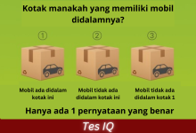 Tes IQ - Kotak Mana yang Berisi Mobil