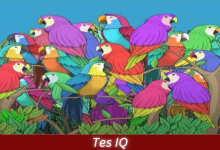 Tes IQ - Temukan Kupu-kupu diantara Sekelompok Burung