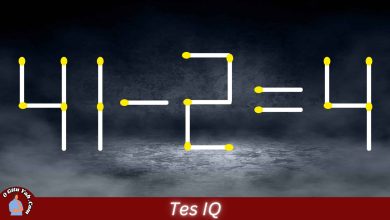 Tes IQ - Perbaiki Perhitungan dengan Memindahkan 2 Korek Api