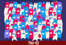 Tes IQ - Temukan 1 Ekor Kelinci di Antara Kumpulan Kucing