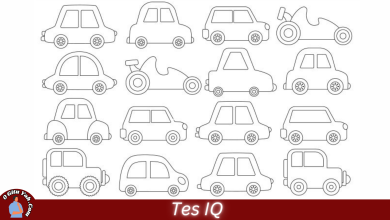 Tes IQ - Temukan 2 Mobil Identik