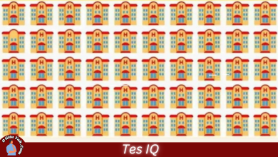 Tes IQ - Temukan Rumah yang Berbeda