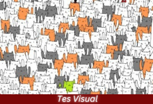 Tes Visual - Kelinci di Antara Kumpulan Kucing