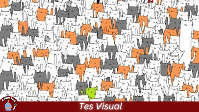 Tes Visual - Kelinci di Antara Kumpulan Kucing