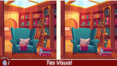 Tes Visual - Perbedaan Gambar Perpustakaan