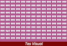 Tes Visual - Temukan 2 Angka 969