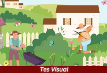 Tes Visual - Temukan 7 Ekor Kucing yang Tersembunyi