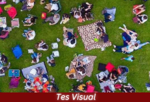 Tes Visual - Temukan Bola di Area Piknik
