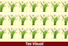 Tes Visual - Hitung dan Temukan Ada Berapa Bunga Berbeda